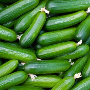Cucumber