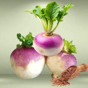 Turnip Seeds