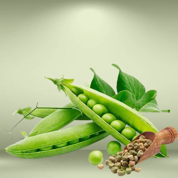 Green Peas Seeds
