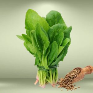 Spinach Seeds