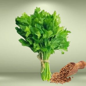 Coriander Seeds