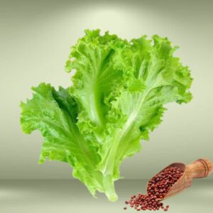 Lettuce Seeds