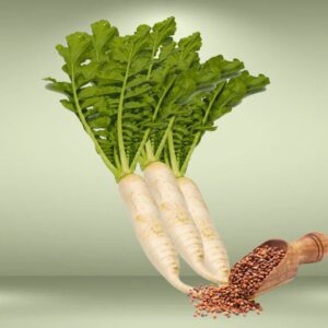 White Radish Seeds