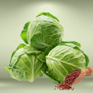Cabbage Seeds