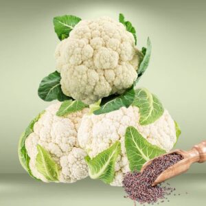 Cauliflower Seeds
