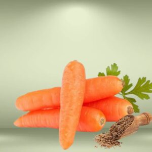Orange Carrot Seeds