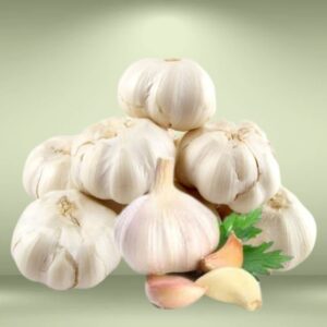 Garlic Seeds