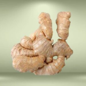 Ginger Rhizome Seeds