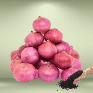 Onion Seeds
