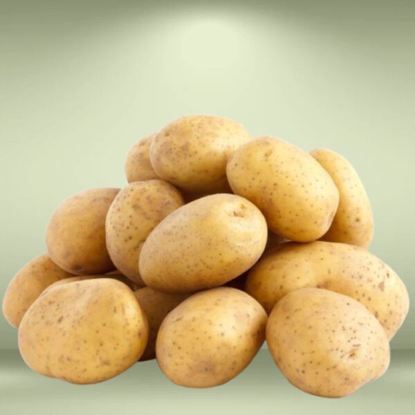 Potato Seeds